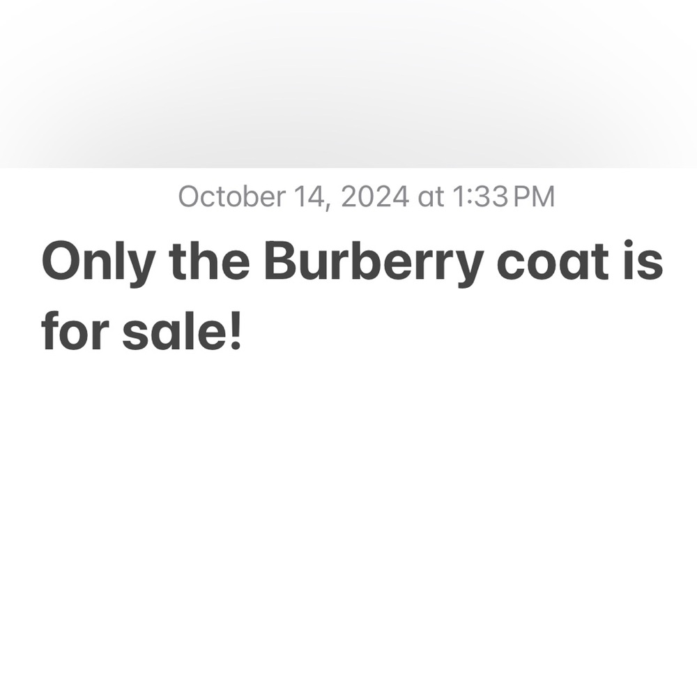 Only the vintage Burberry coat is for sale.